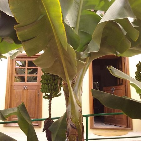 Casa Rural Llano Campo Hermigua Luaran gambar
