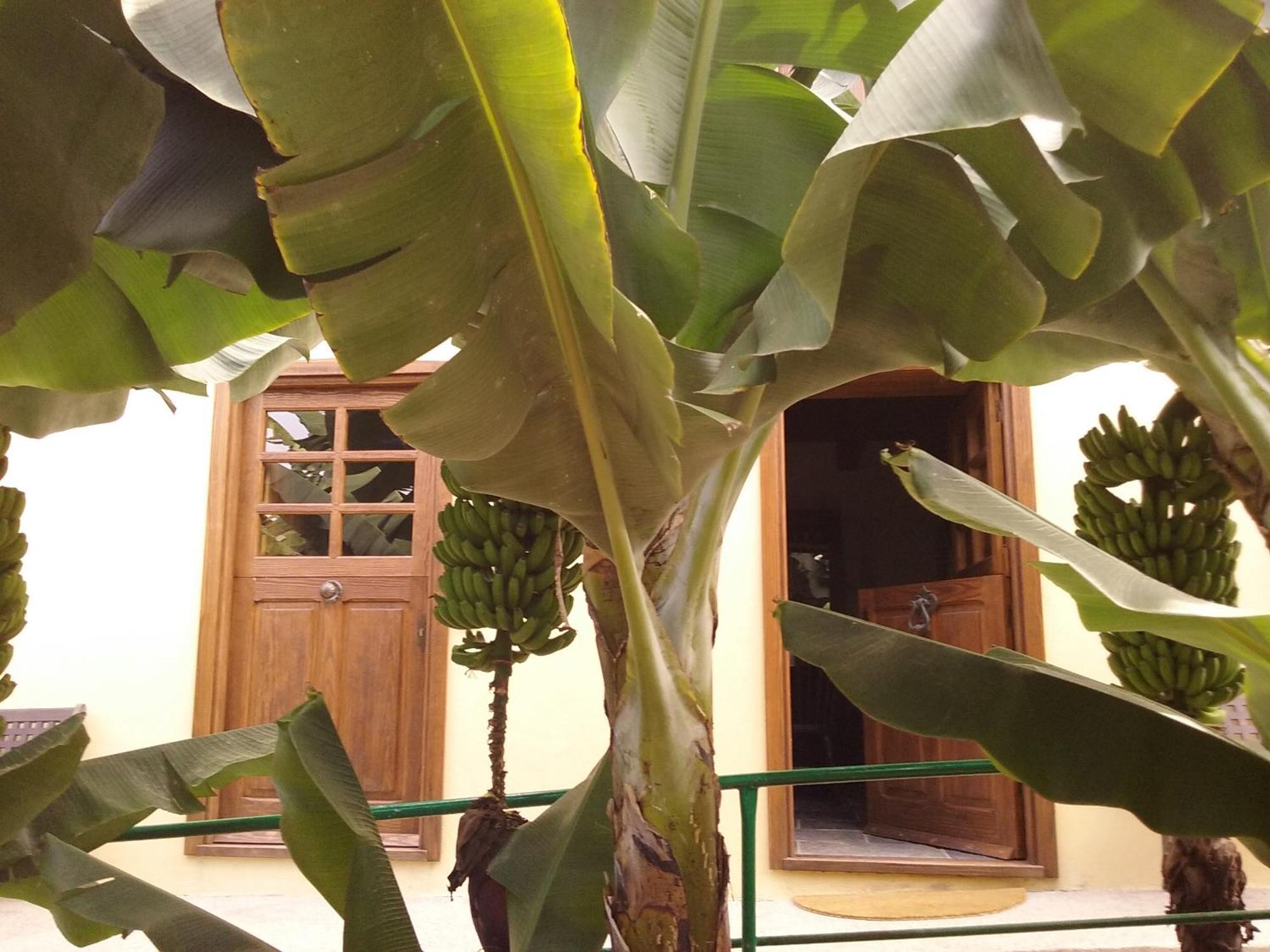 Casa Rural Llano Campo Hermigua Luaran gambar